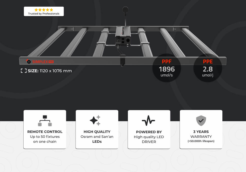 Simplex Pro banner top 2