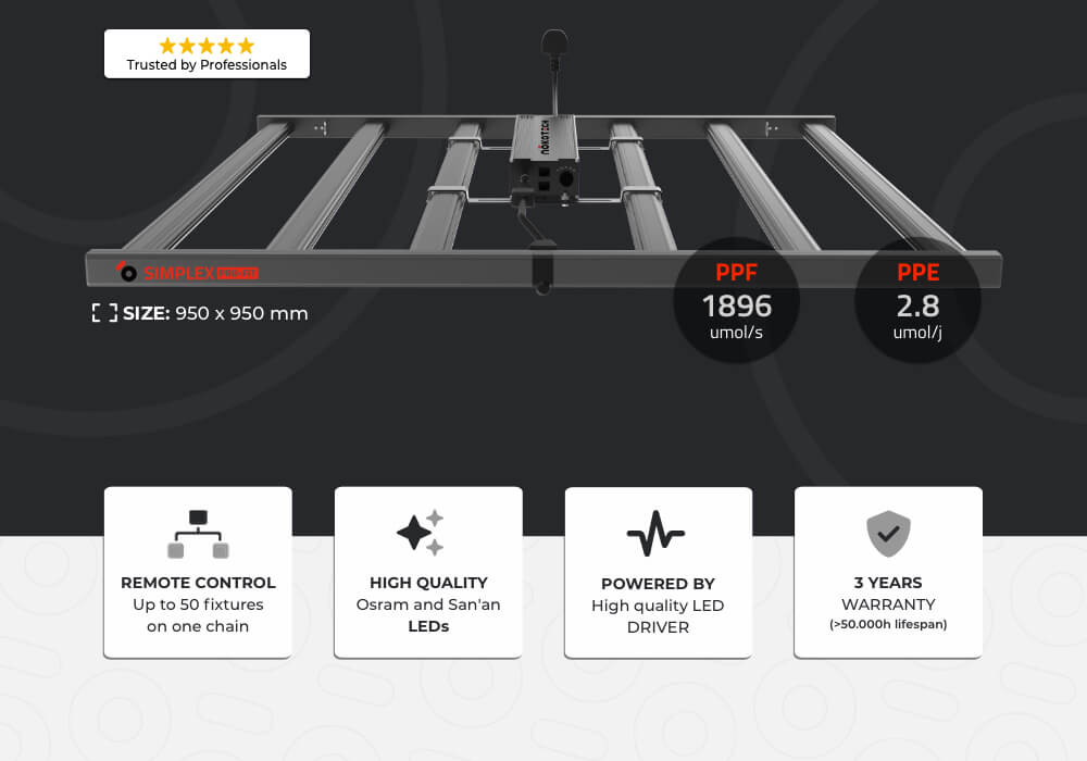 Simplex Pro FIT banner top 2